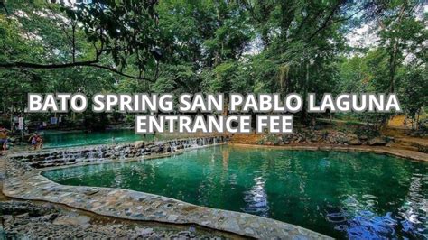 𝗧𝗛𝗘 𝟭𝟬 𝗕𝗘𝗦𝗧 Hotels in Bato of Aug 2024 (with Prices).